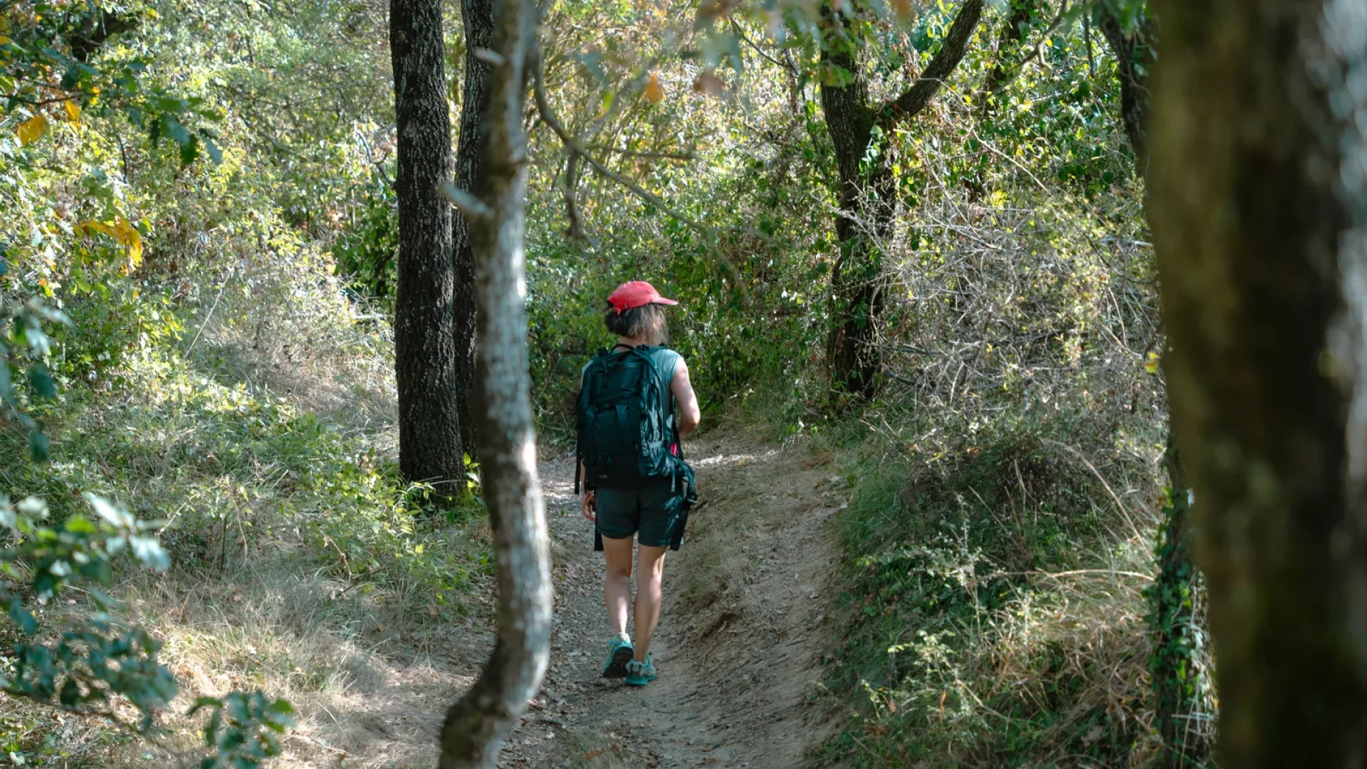 Les balades en Lauragais