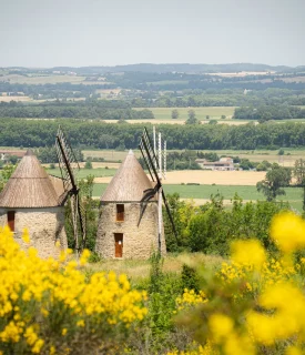 Moulins de Mas Sainte-Puelles