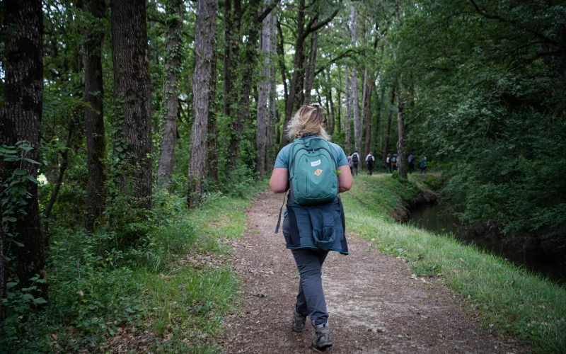 Randonnées autour du canal du Midi