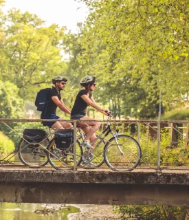 Vélo canal du Midi