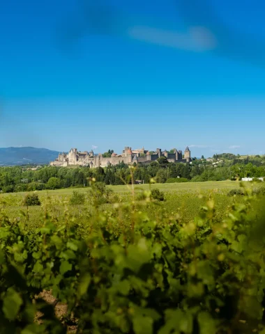 Cité de carcassonne